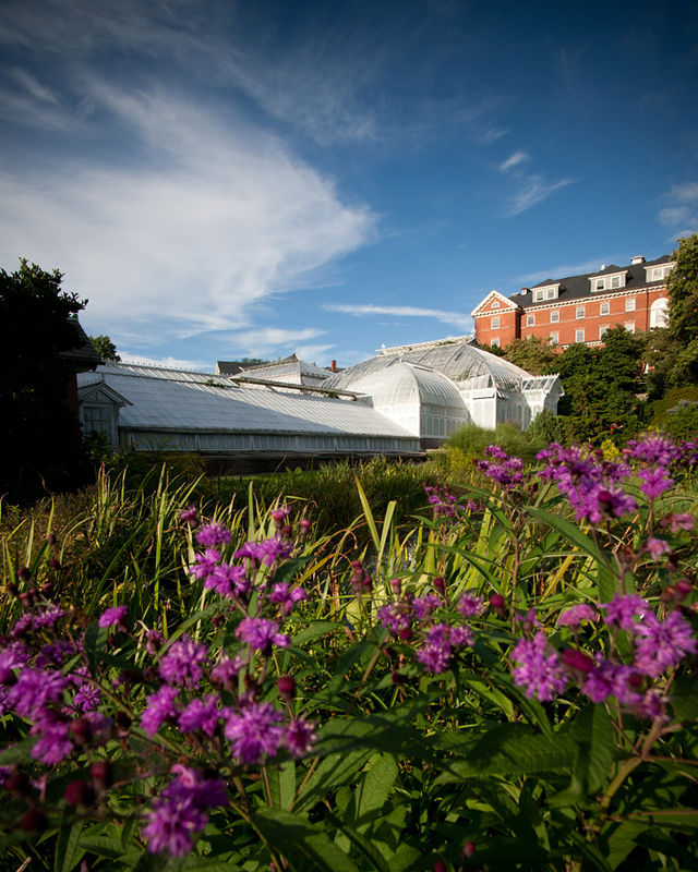 Smith College